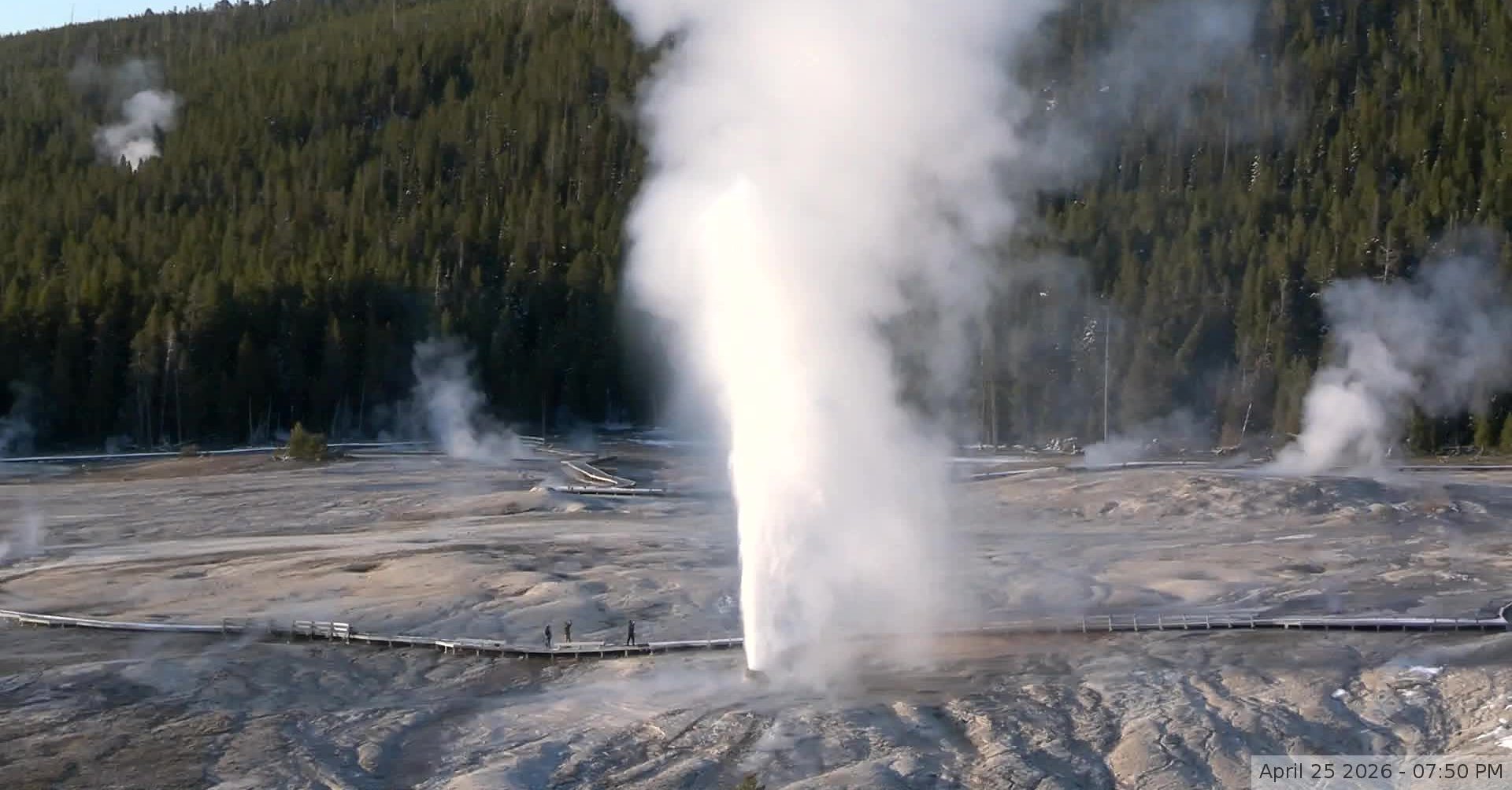 Old Faithful, Yellowstone National Park